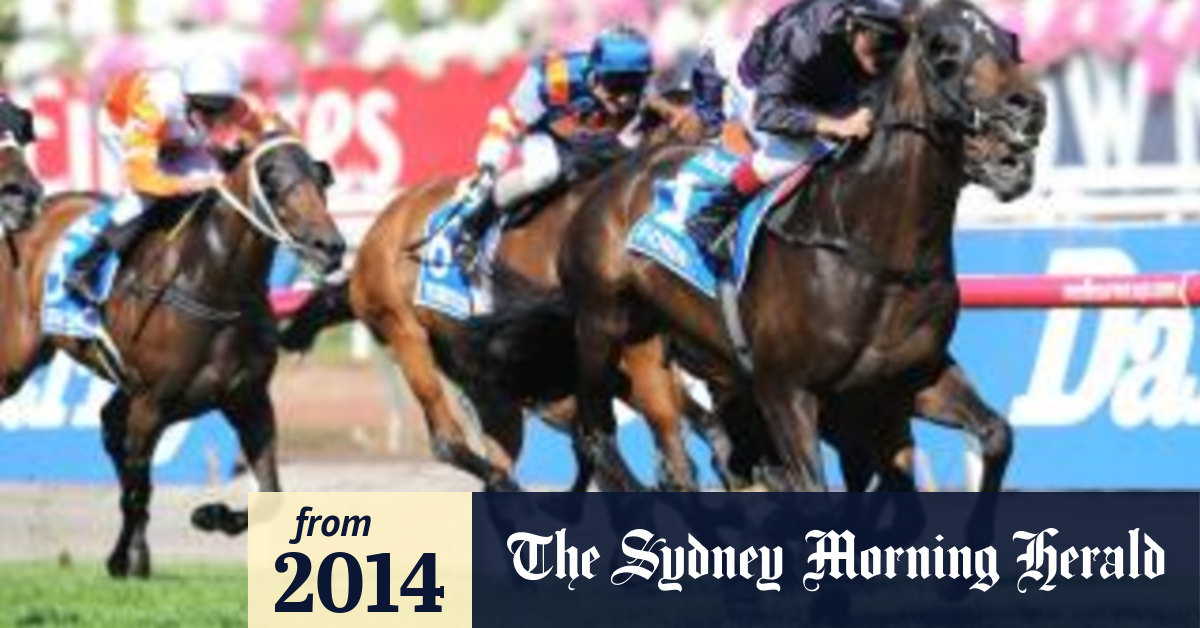 Racing looks back on a memorable season, from too many tragedies to